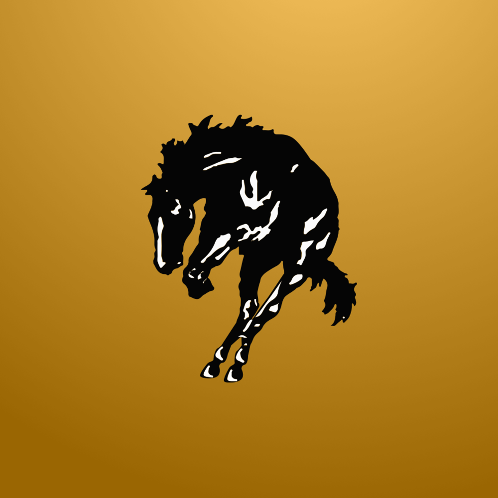 Bronc logo