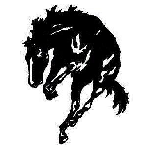 Bronc